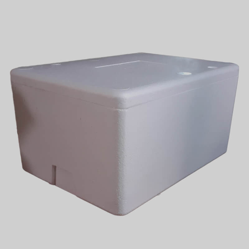 EPS Thermocol Box 20 inch