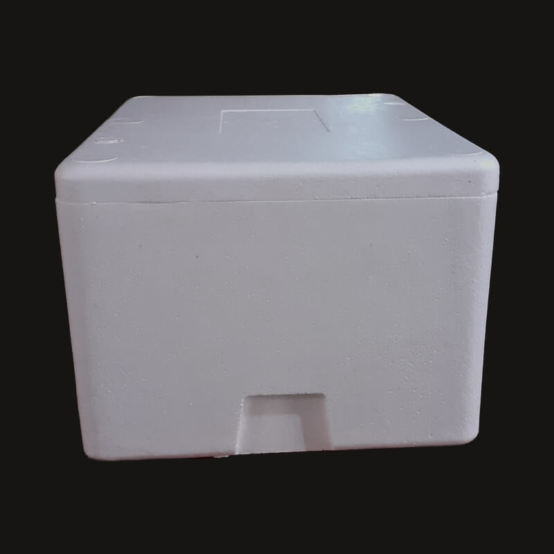 EPS Thermocol Box 24 inch